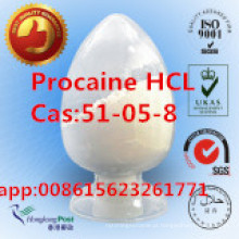 99% de cloridrato de procaína, Procaine Hci, 51-05-8